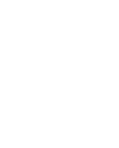 Voltrun Logo